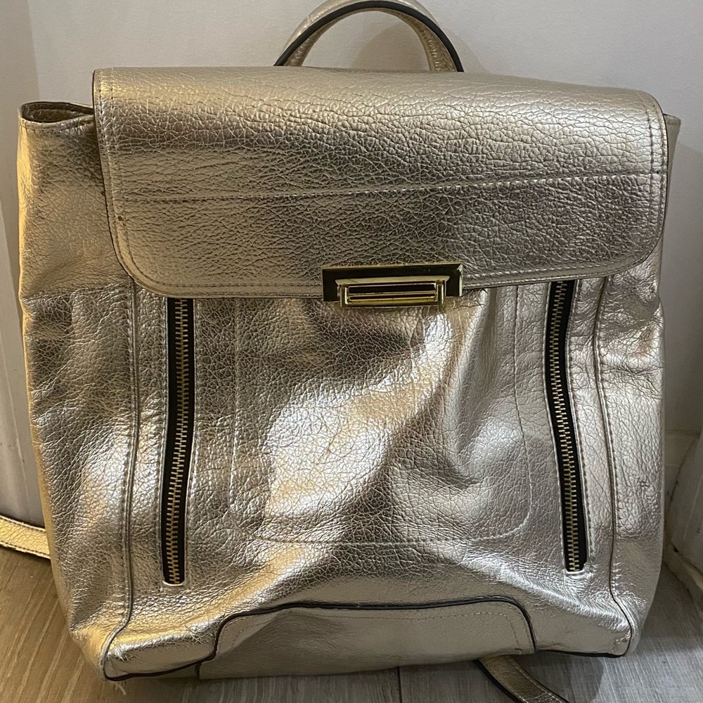 Stylish versatile bag